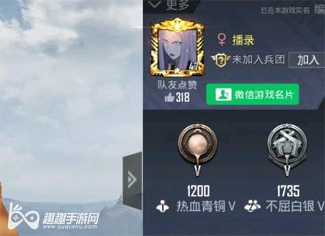 和平精英辅助【Vance万斯直装V1.0稳定版】人机识别 防录屏 主播专用 车辆加速 人物透视 锁头自瞄