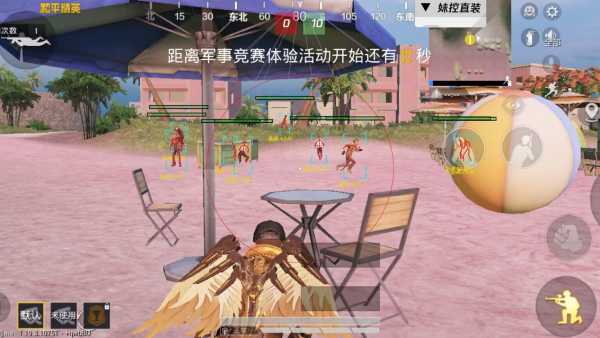 和平精英辅助【神眸】